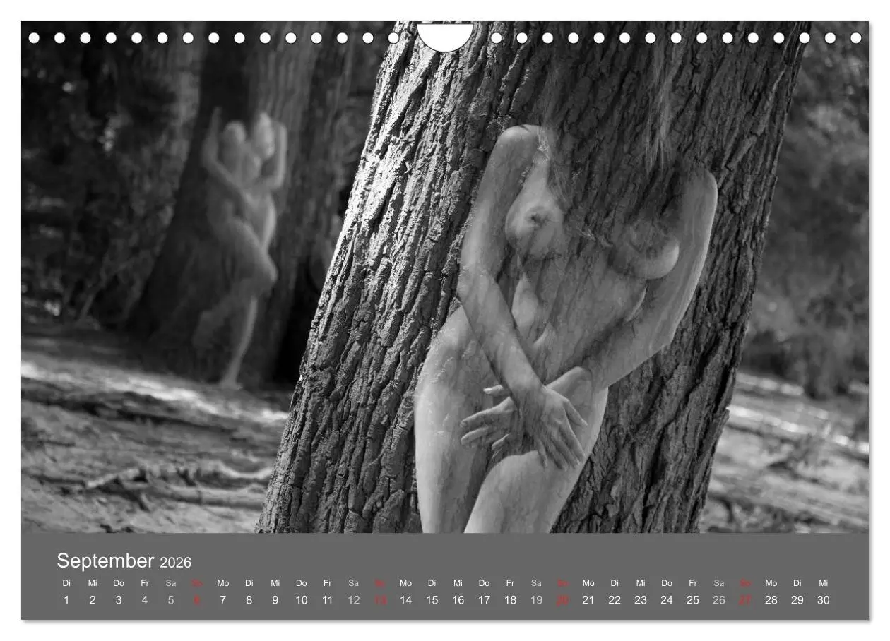 Bild: 9783457982464 | Akt und Visionen (Wandkalender 2026 DIN A4 quer), CALVENDO...