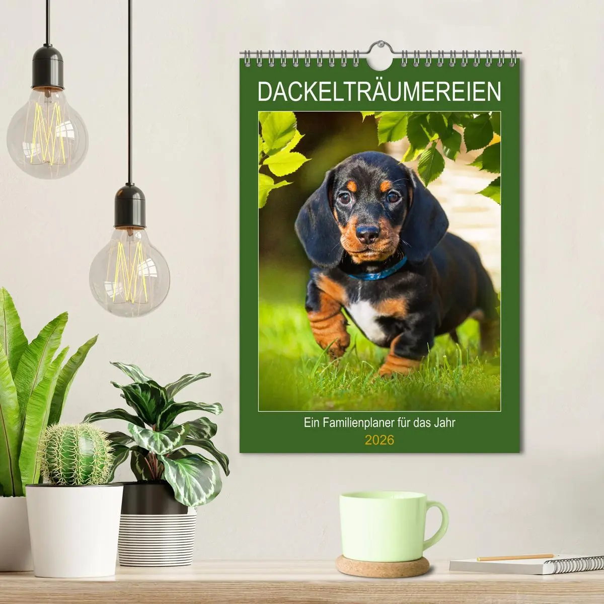 Bild: 9783516382464 | Dackelträume - Ein Familienplaner für das Jahr (Wandkalender 2026...