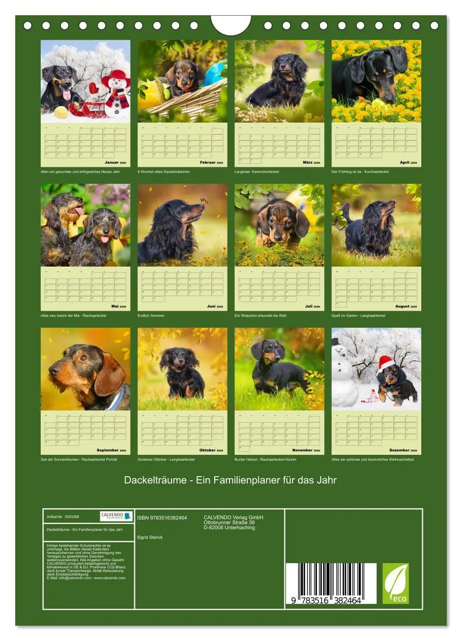 Bild: 9783516382464 | Dackelträume - Ein Familienplaner für das Jahr (Wandkalender 2026...
