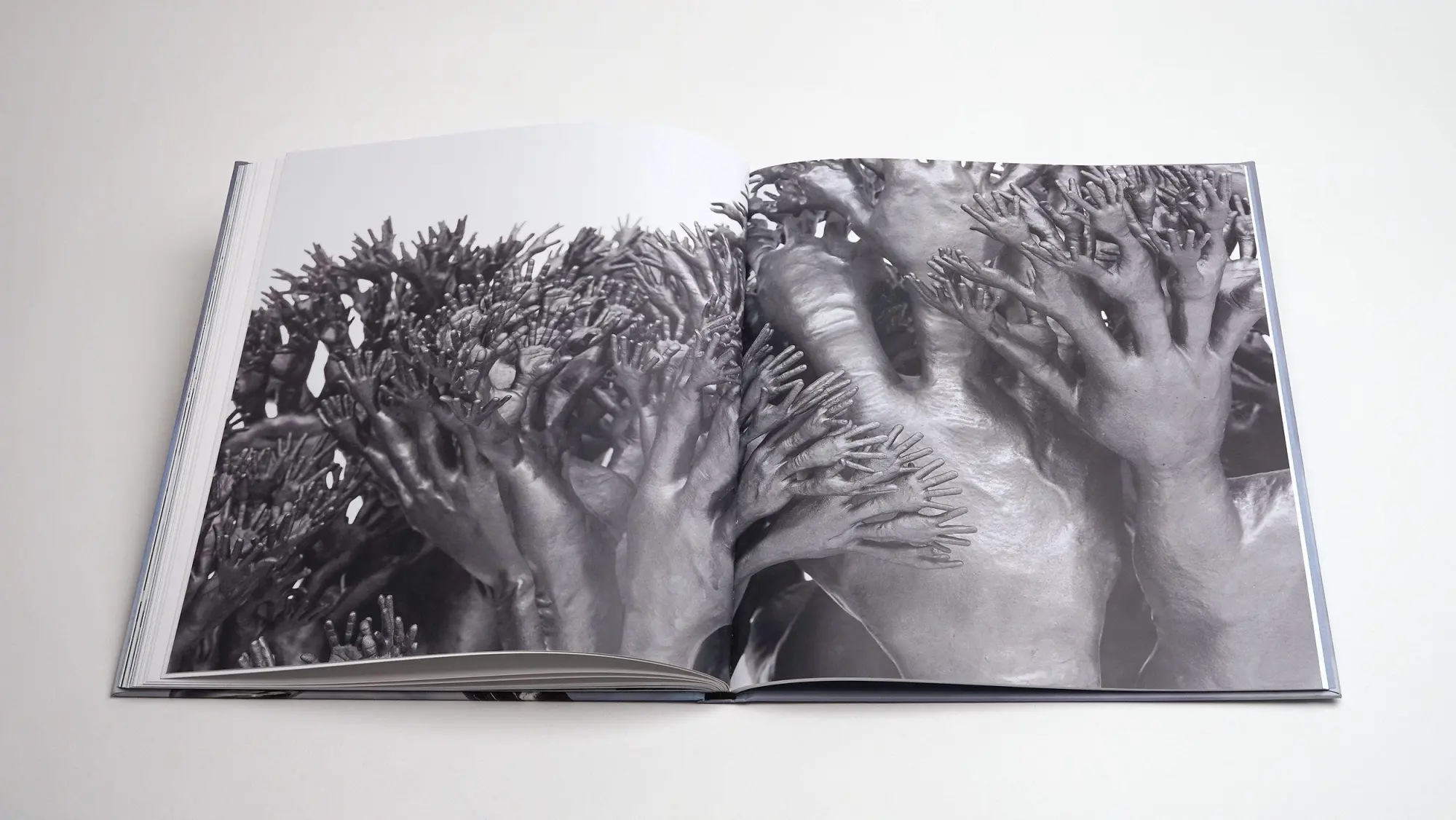 Bild: 9783969122464 | Tony Cragg: Points of View | Jon Wood (u. a.) | Buch | 112 S. | 2025