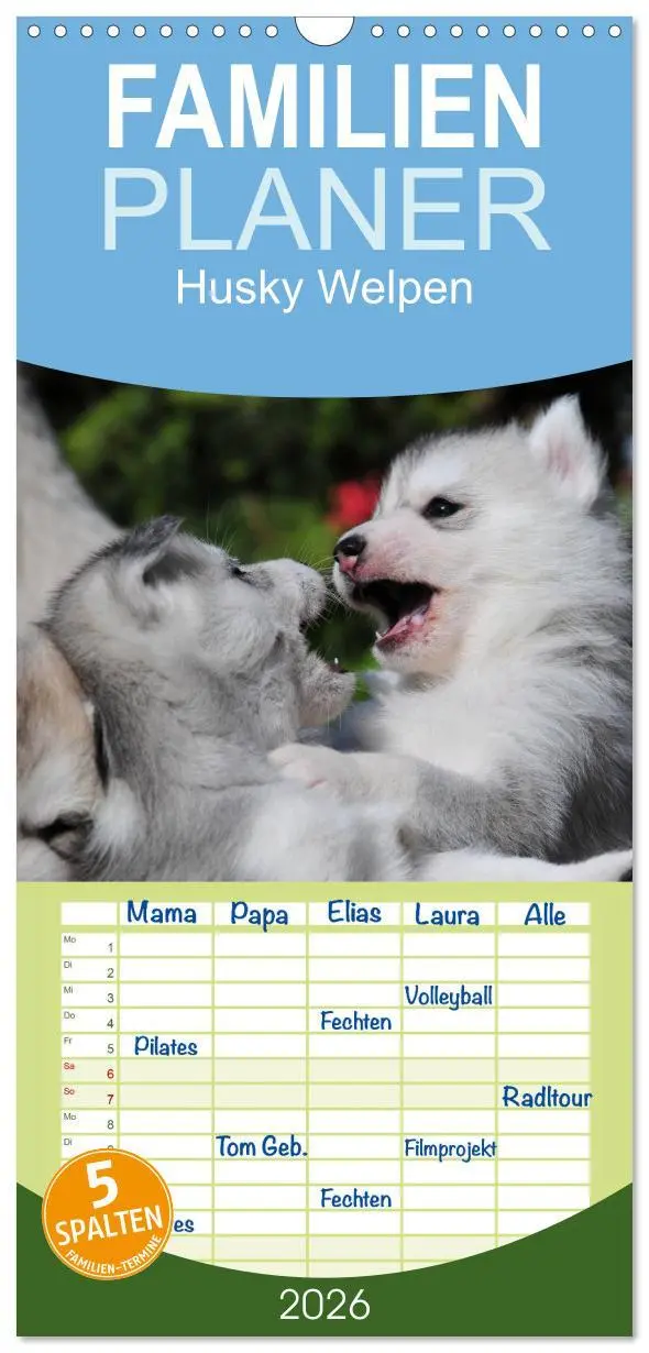 Cover: 9783516512564 | Familienplaner 2026 - Husky Welpen mit 5 Spalten (Wandkalender, 21...