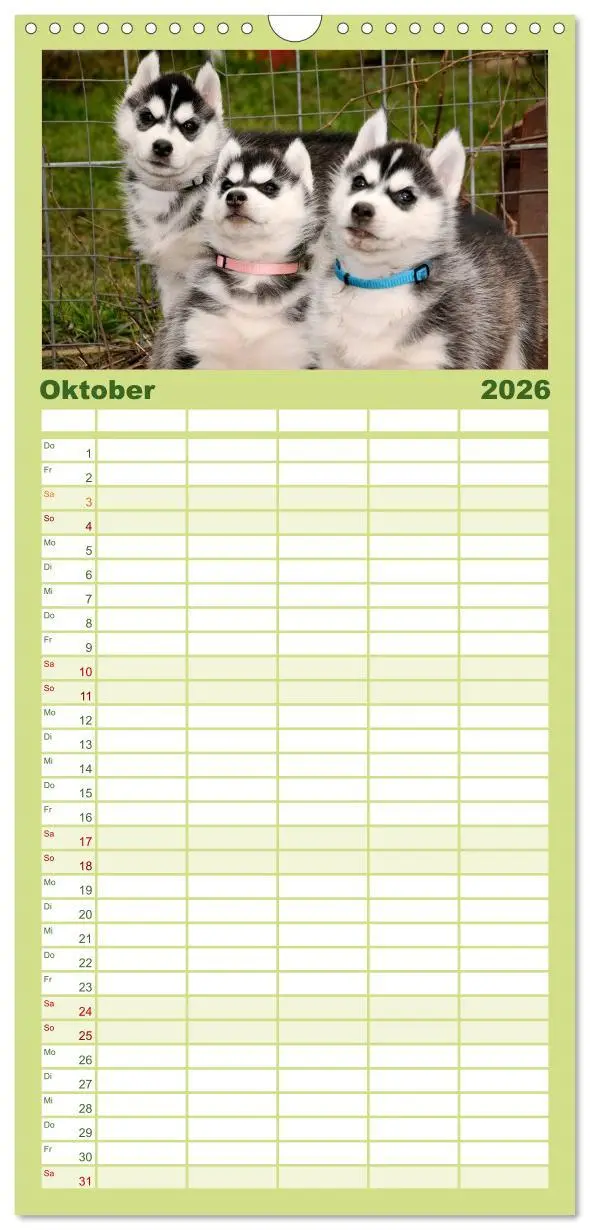 Bild: 9783516512564 | Familienplaner 2026 - Husky Welpen mit 5 Spalten (Wandkalender, 21...