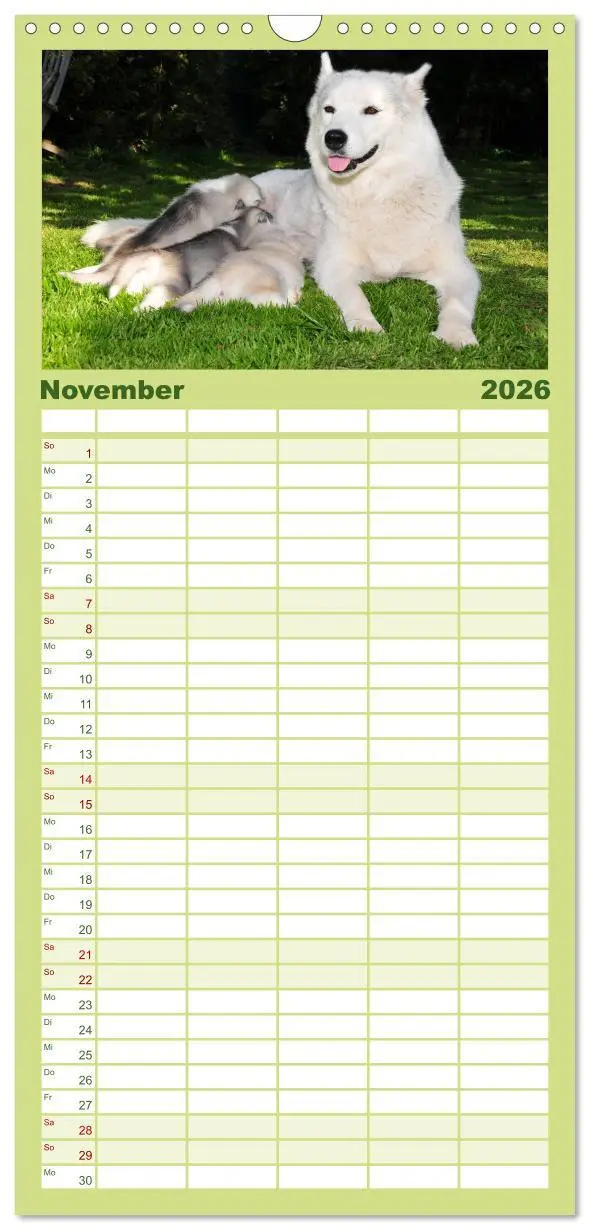 Bild: 9783516512564 | Familienplaner 2026 - Husky Welpen mit 5 Spalten (Wandkalender, 21...