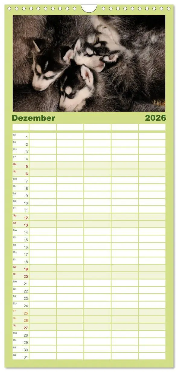 Bild: 9783516512564 | Familienplaner 2026 - Husky Welpen mit 5 Spalten (Wandkalender, 21...