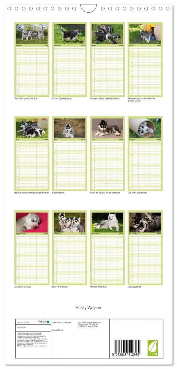 Bild: 9783516512564 | Familienplaner 2026 - Husky Welpen mit 5 Spalten (Wandkalender, 21...