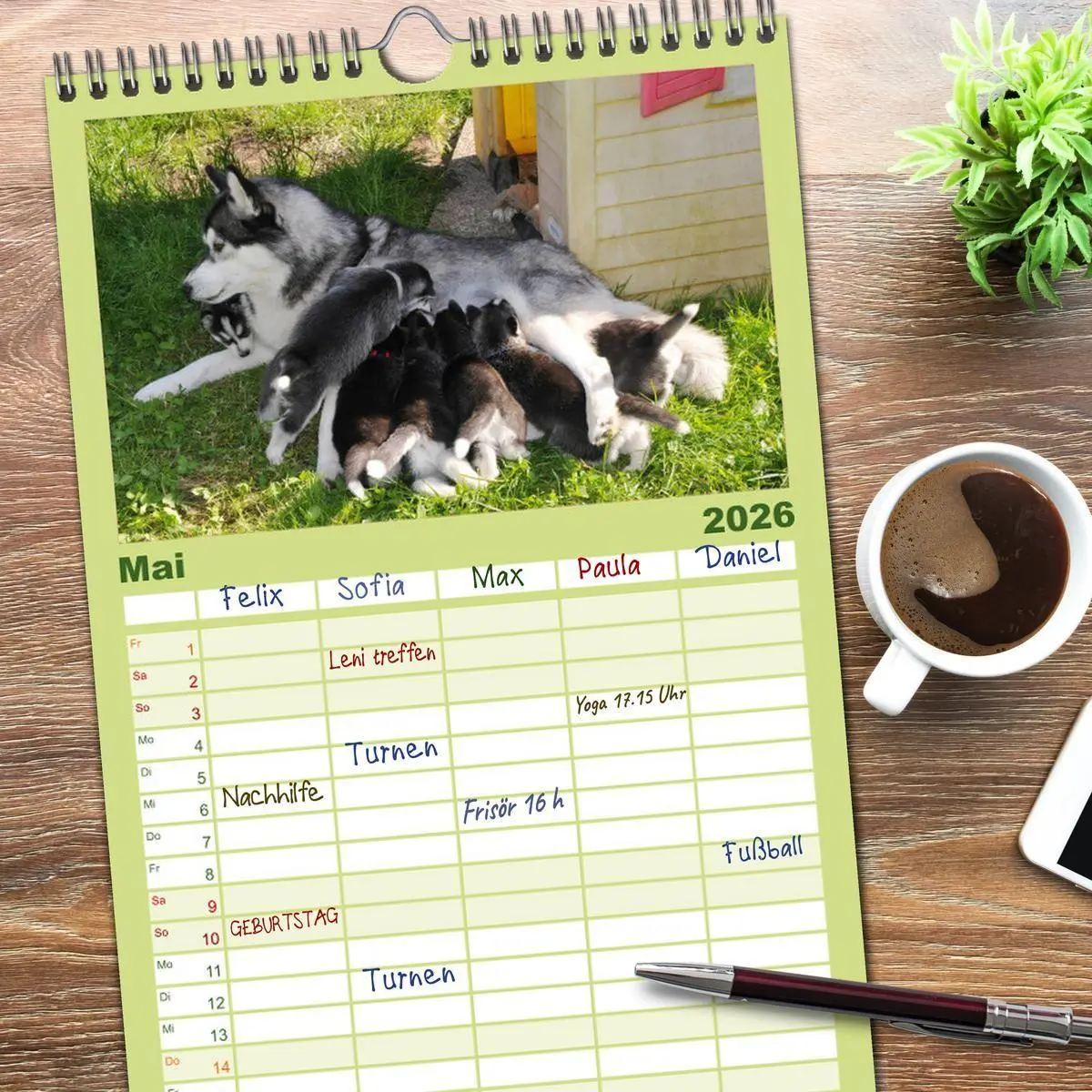 Bild: 9783516512564 | Familienplaner 2026 - Husky Welpen mit 5 Spalten (Wandkalender, 21...