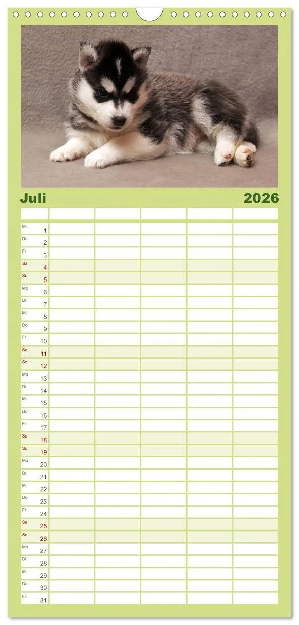 Bild: 9783516512564 | Familienplaner 2026 - Husky Welpen mit 5 Spalten (Wandkalender, 21...