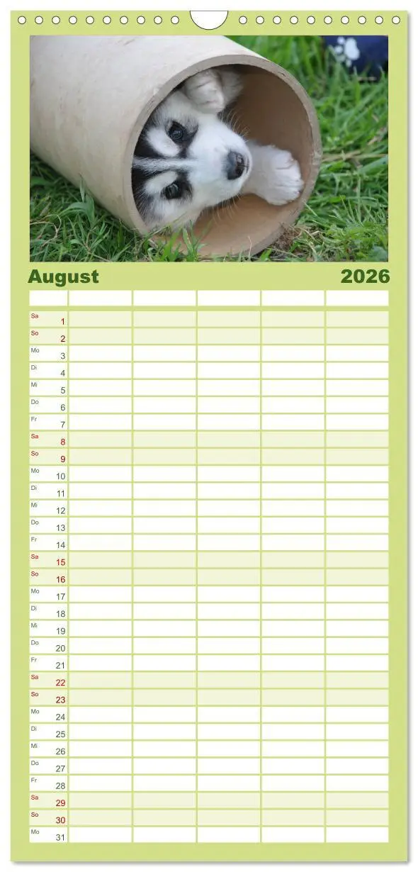 Bild: 9783516512564 | Familienplaner 2026 - Husky Welpen mit 5 Spalten (Wandkalender, 21...