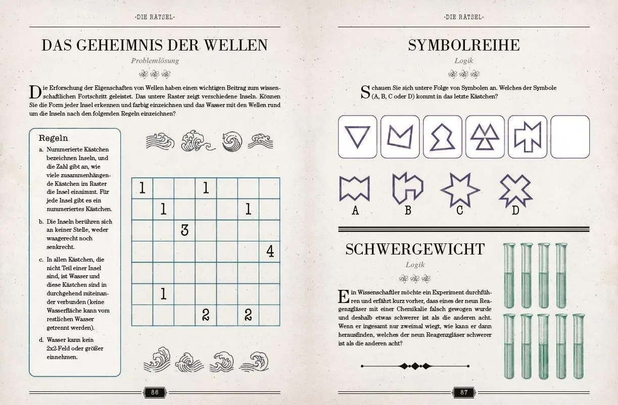 Bild: 9783735852564 | Einsteins Rätselbuch - Logikrätsel für geniale Köpfe | Dan Moore