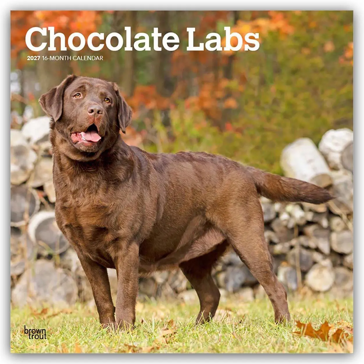 Cover: 9798330712564 | Chocolate Labrador Retriever - Brauner Labrador Retriever 2027 -...
