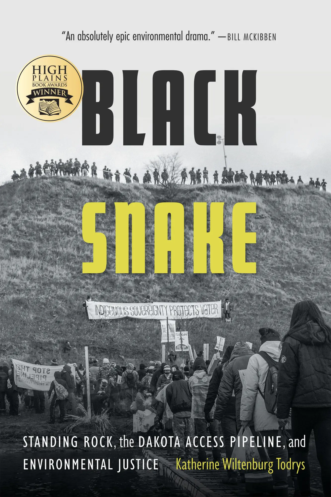 Cover: 9781496222664 | Black Snake | Katherine Wiltenburg Todrys | Taschenbuch | Englisch