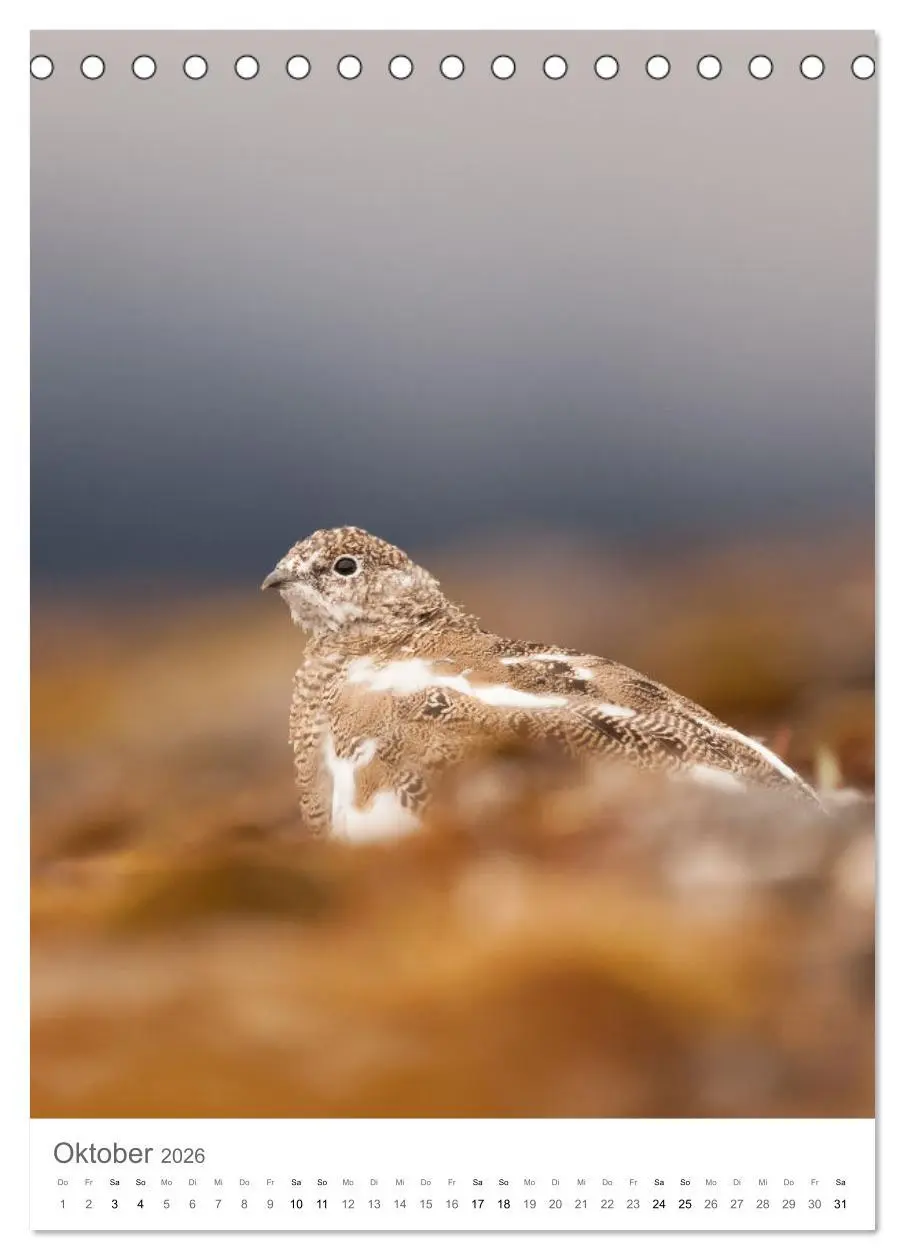 Bild: 9783516292664 | Die Arktis - Naturfotografien aus Spitzbergen (Tischkalender 2026...