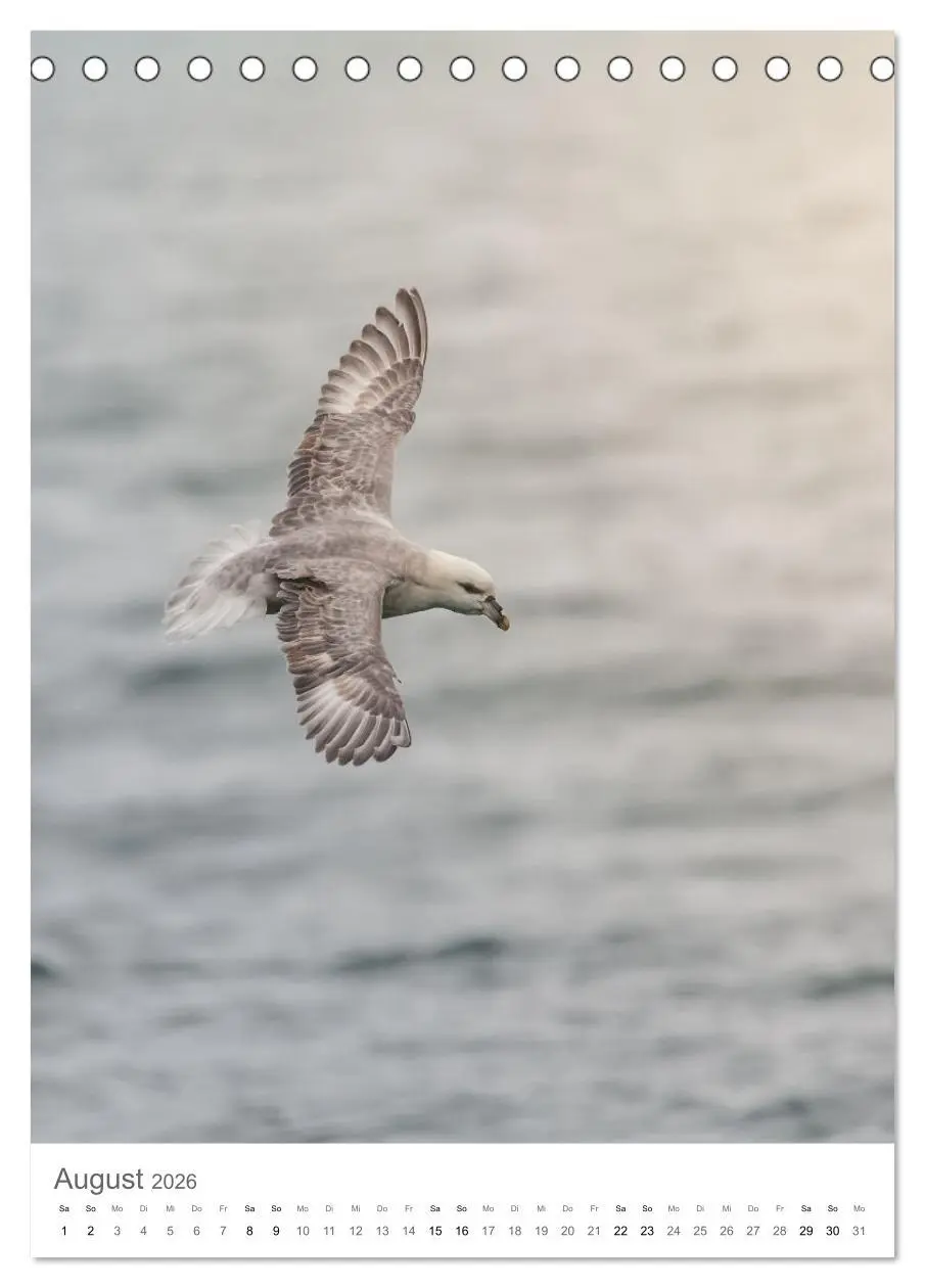 Bild: 9783516292664 | Die Arktis - Naturfotografien aus Spitzbergen (Tischkalender 2026...