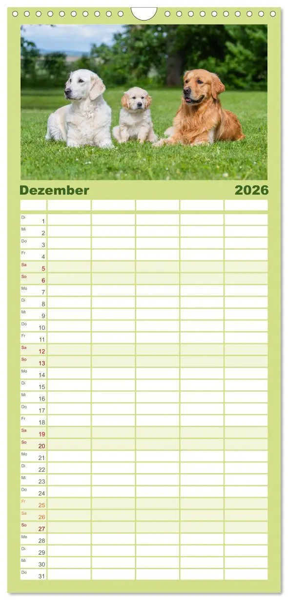 Bild: 9783516502664 | Familienplaner 2026 - Goldige Aussichten - Mit Golden Retriever...
