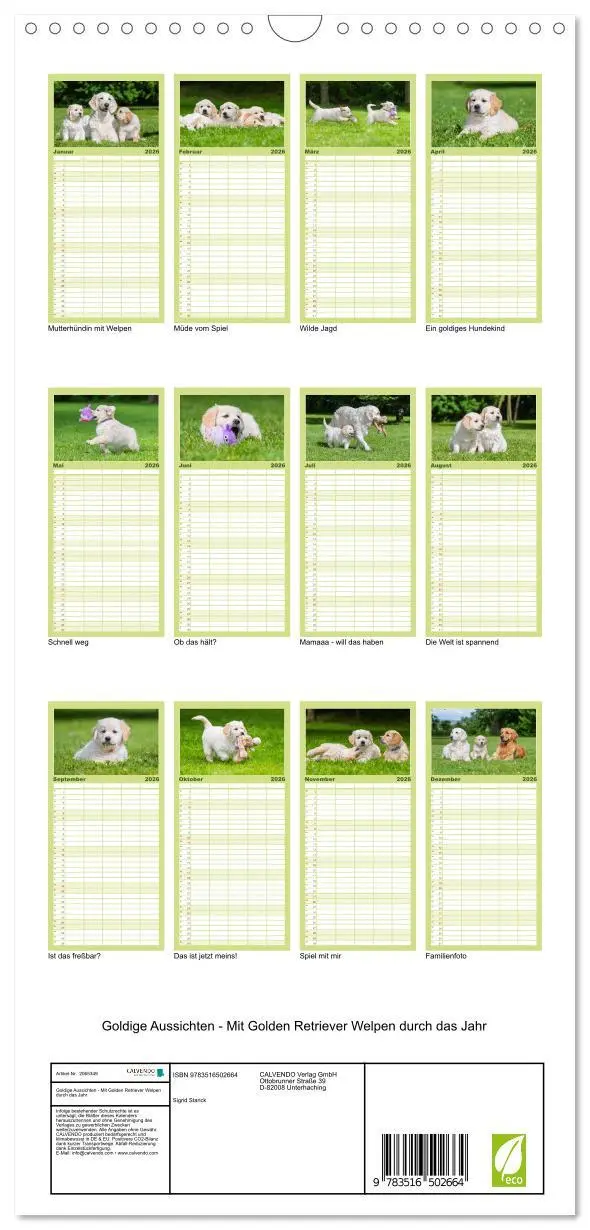 Bild: 9783516502664 | Familienplaner 2026 - Goldige Aussichten - Mit Golden Retriever...