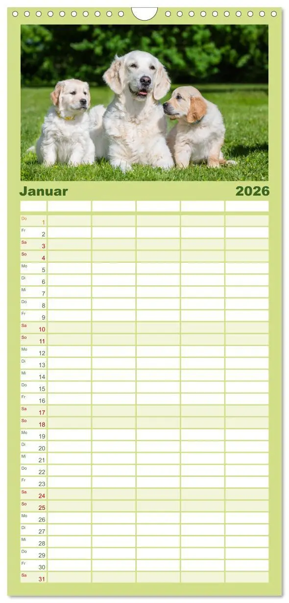 Bild: 9783516502664 | Familienplaner 2026 - Goldige Aussichten - Mit Golden Retriever...