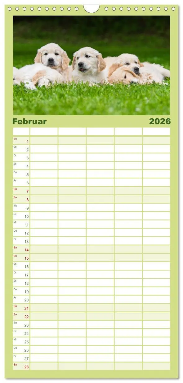 Bild: 9783516502664 | Familienplaner 2026 - Goldige Aussichten - Mit Golden Retriever...