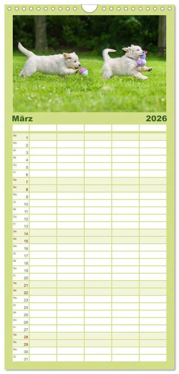 Bild: 9783516502664 | Familienplaner 2026 - Goldige Aussichten - Mit Golden Retriever...