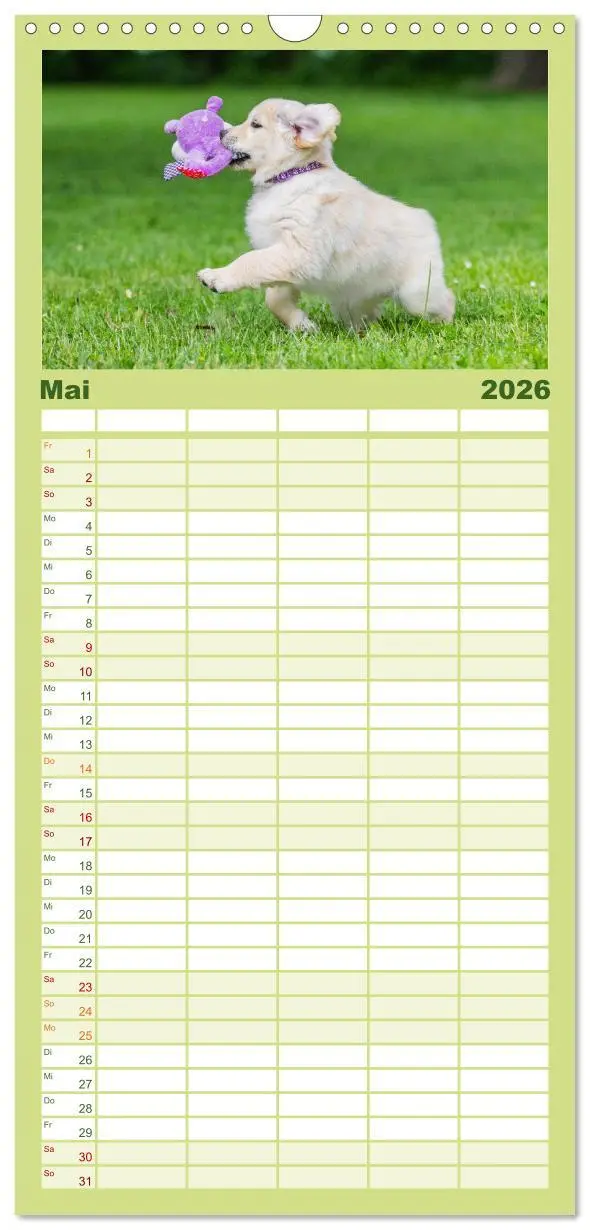 Bild: 9783516502664 | Familienplaner 2026 - Goldige Aussichten - Mit Golden Retriever...