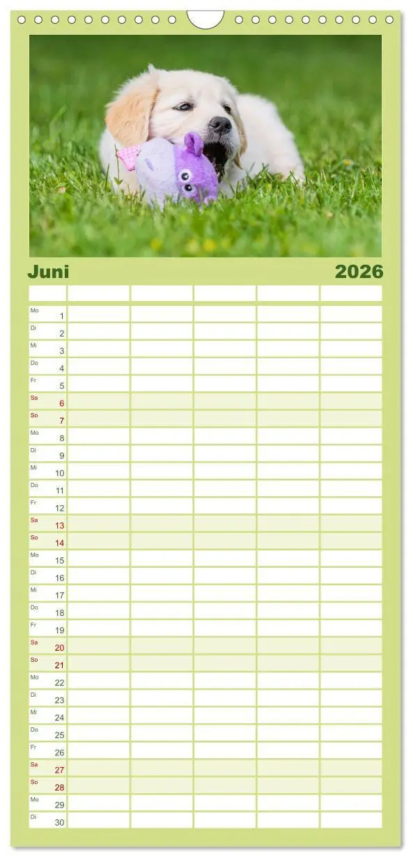 Bild: 9783516502664 | Familienplaner 2026 - Goldige Aussichten - Mit Golden Retriever...