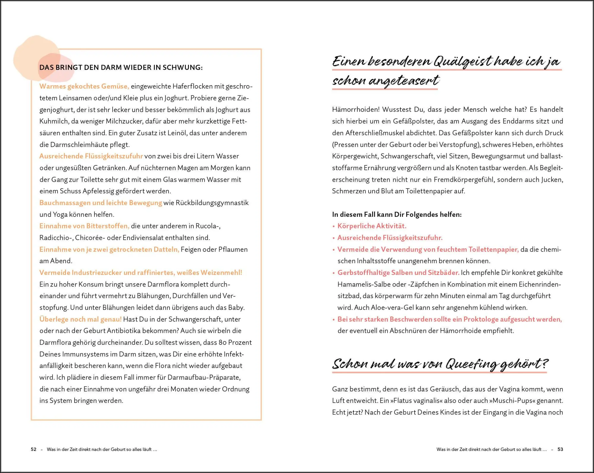 Bild: 9783517102764 | Königin im Wochenbett | Kerstin Lüking | Taschenbuch | 176 S. | 2024