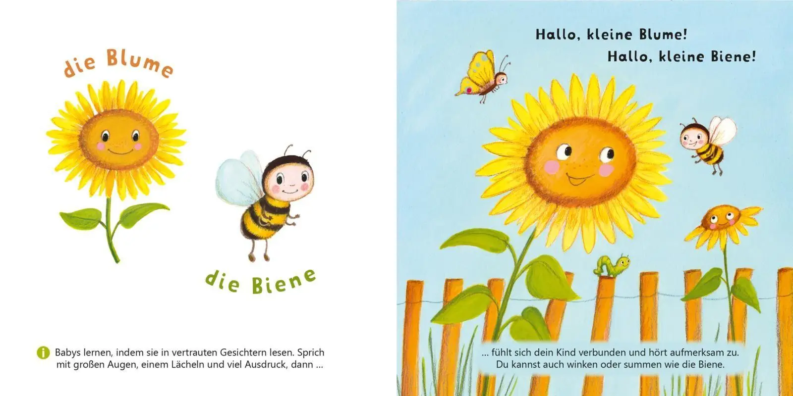 Bild: 9783551062864 | Baby Pixi (unkaputtbar) 162: Allererste Wörter: Meine Welt | Bollin