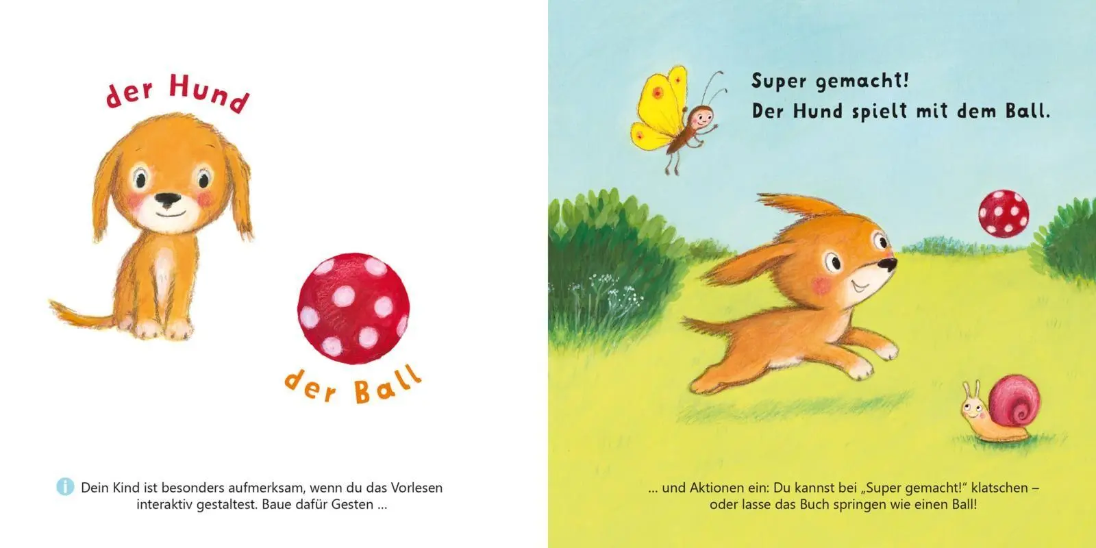 Bild: 9783551062864 | Baby Pixi (unkaputtbar) 162: Allererste Wörter: Meine Welt | Bollin