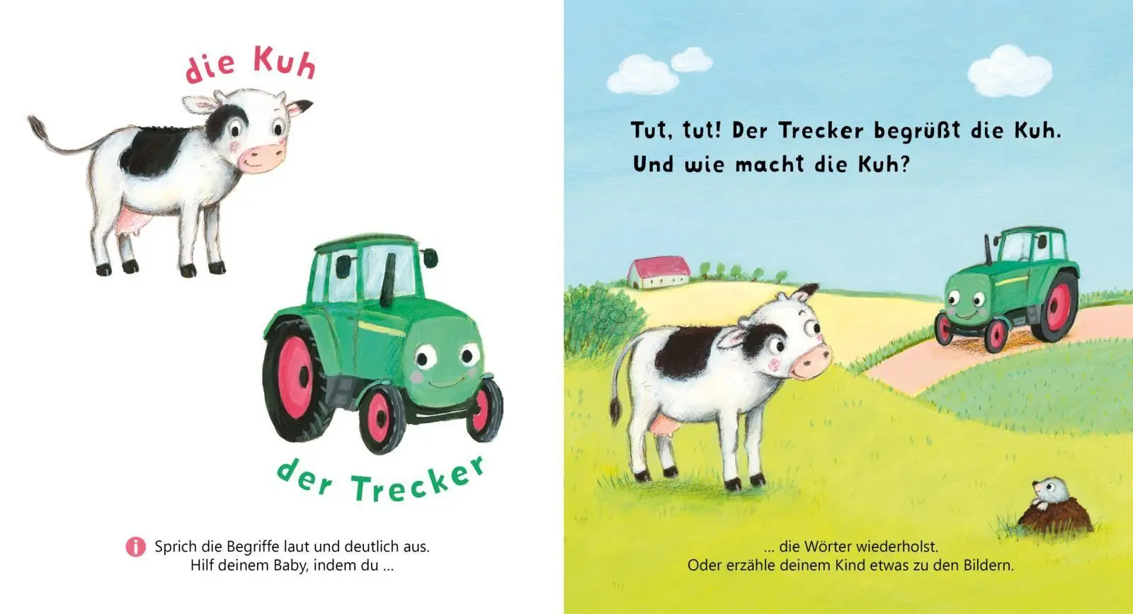 Bild: 9783551062864 | Baby Pixi (unkaputtbar) 162: Allererste Wörter: Meine Welt | Bollin