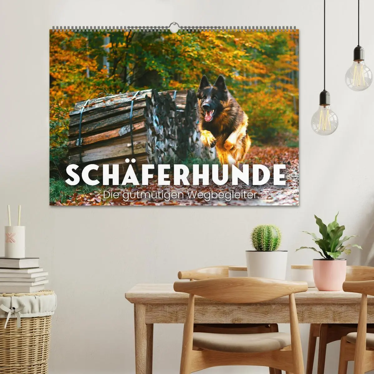 Bild: 9783457552964 | Schäferhunde - Die gutmütigen Wegbegleiter. (Wandkalender 2026 DIN...