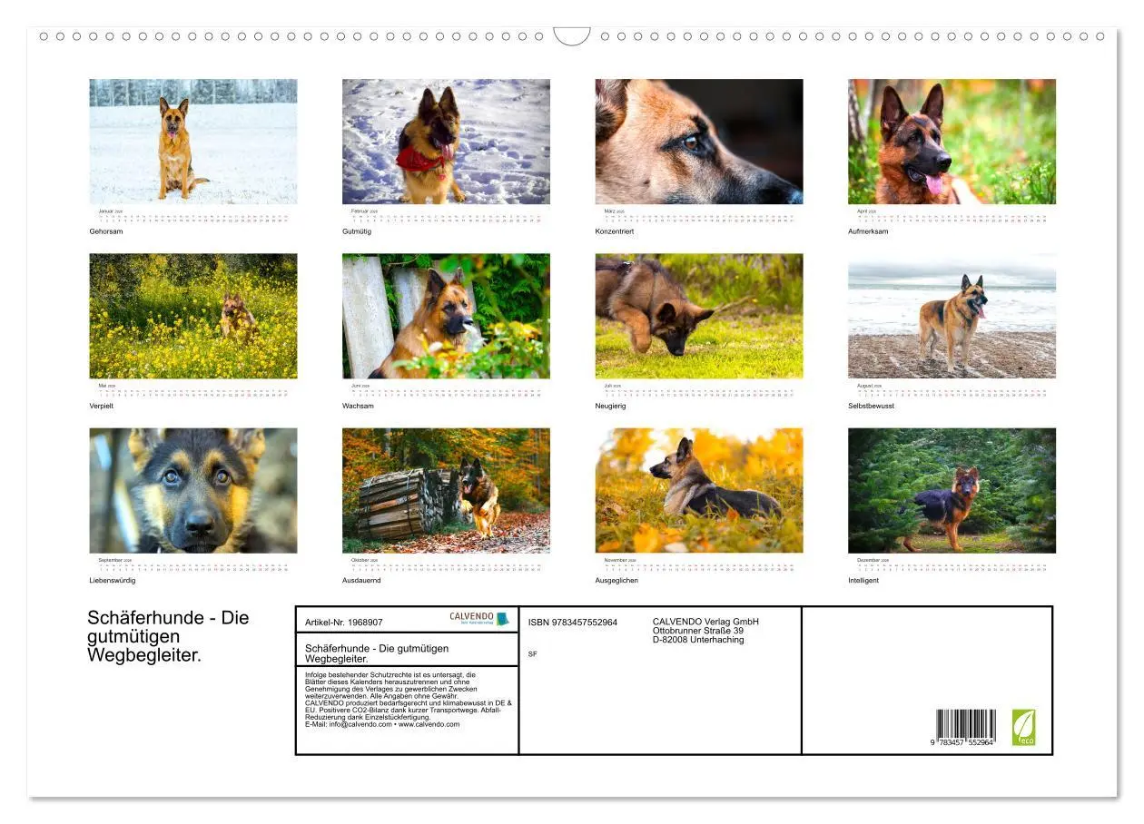 Bild: 9783457552964 | Schäferhunde - Die gutmütigen Wegbegleiter. (Wandkalender 2026 DIN...