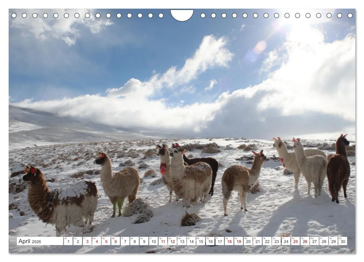Bild: 9783457622964 | SÜDAMERIKA Eine Bilderreise durch Argentinien, Bolivien, Peru und...