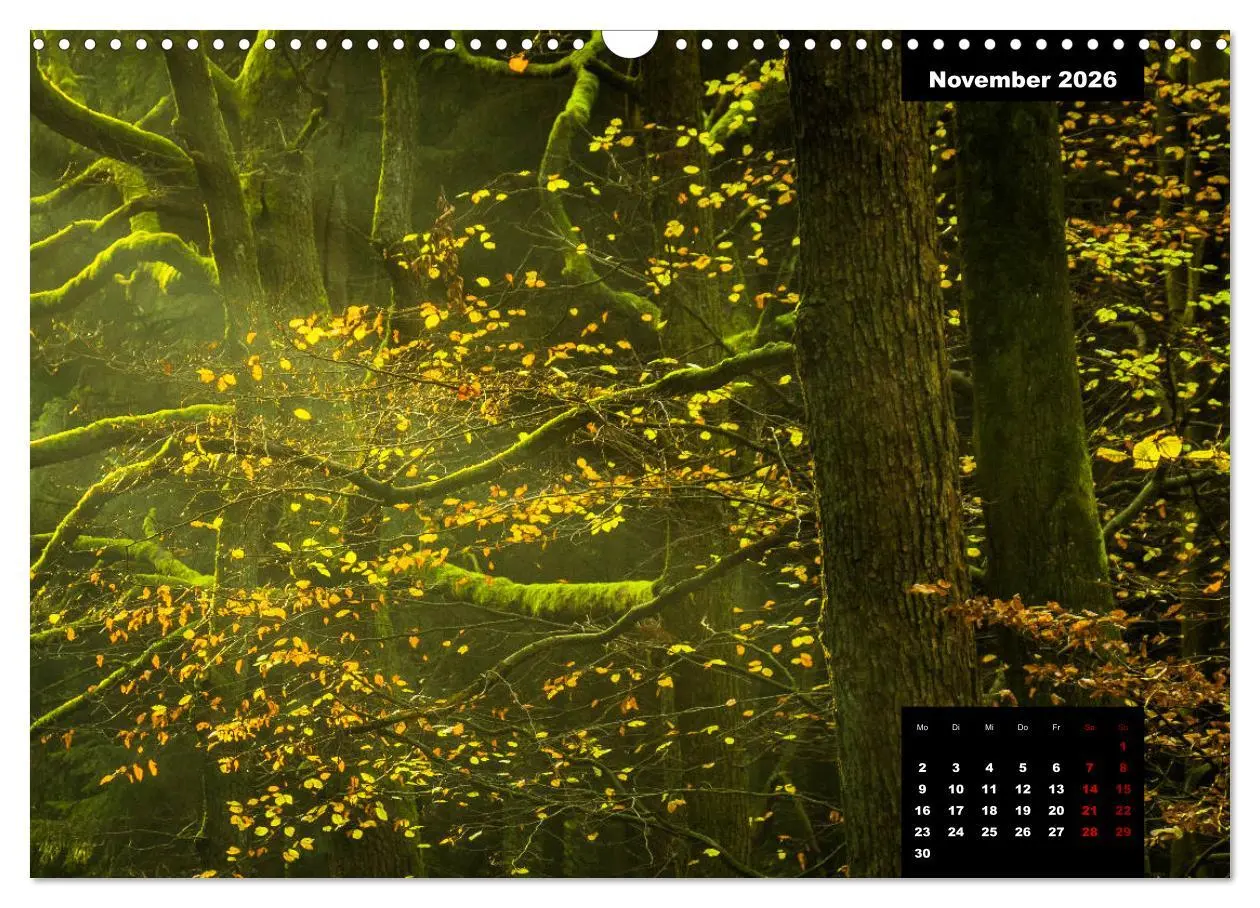 Bild: 9783457932964 | Malerisches Sauerland (Wandkalender 2026 DIN A3 quer), CALVENDO...