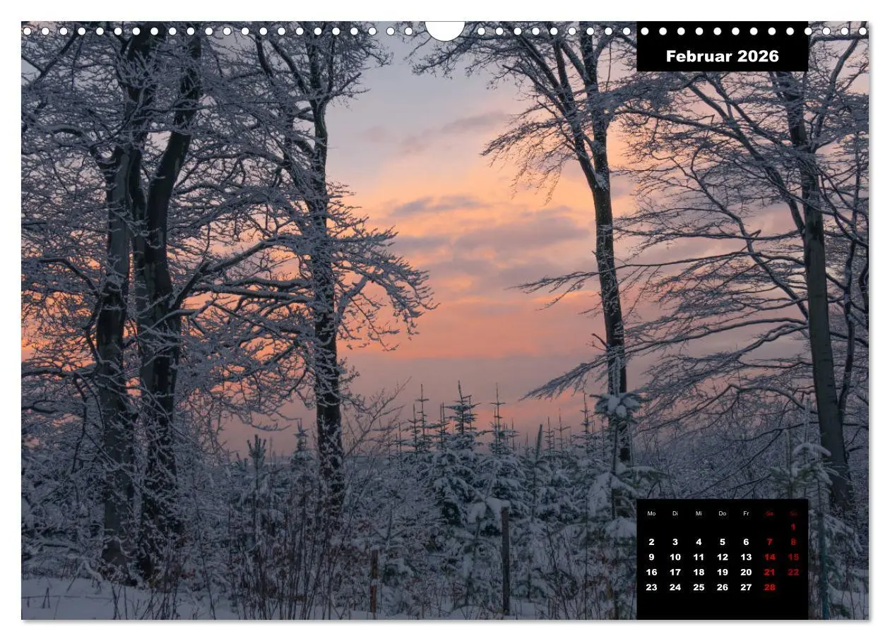 Bild: 9783457932964 | Malerisches Sauerland (Wandkalender 2026 DIN A3 quer), CALVENDO...