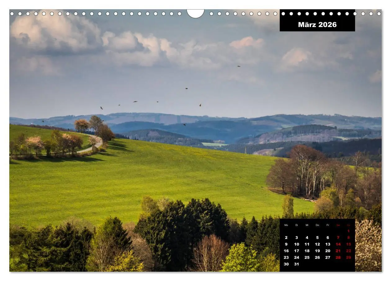 Bild: 9783457932964 | Malerisches Sauerland (Wandkalender 2026 DIN A3 quer), CALVENDO...