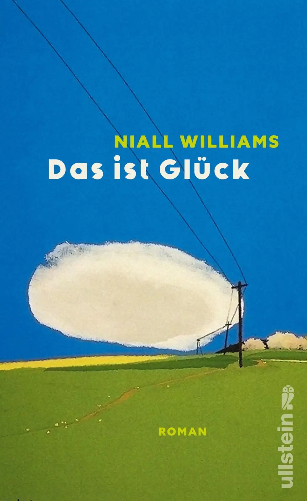 Cover: 9783550202964 | Das ist Glück | Niall Williams | Buch | 464 S. | Deutsch | 2025