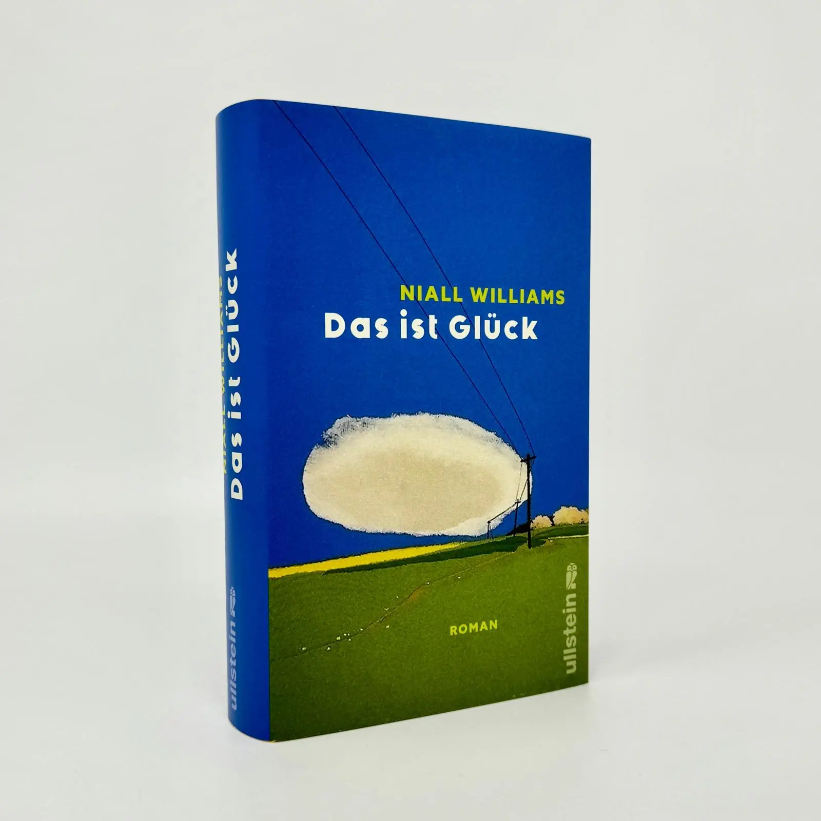 Bild: 9783550202964 | Das ist Glück | Niall Williams | Buch | 464 S. | Deutsch | 2025