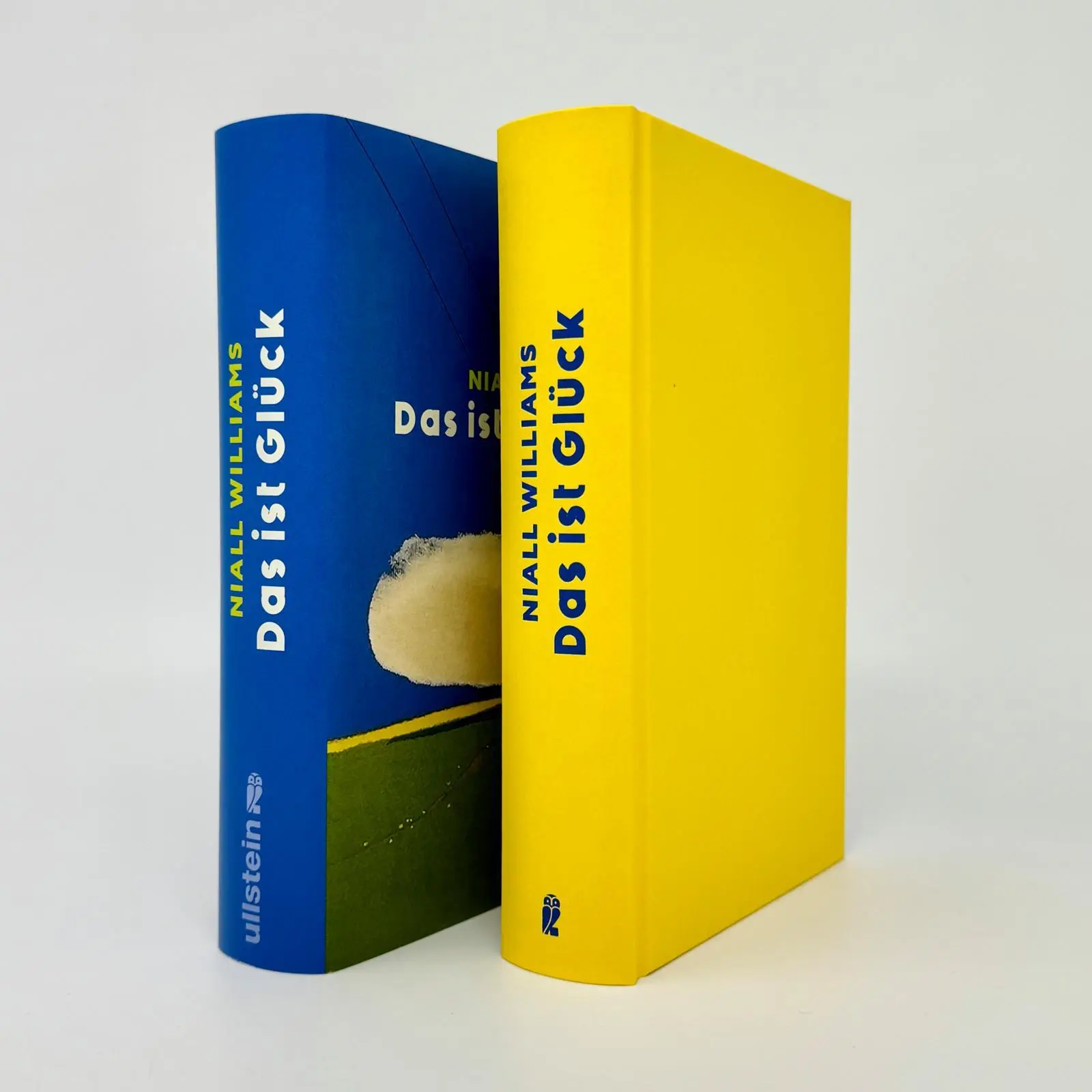 Bild: 9783550202964 | Das ist Glück | Niall Williams | Buch | 464 S. | Deutsch | 2025