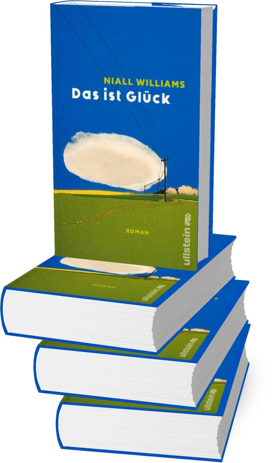 Bild: 9783550202964 | Das ist Glück | Niall Williams | Buch | 464 S. | Deutsch | 2025