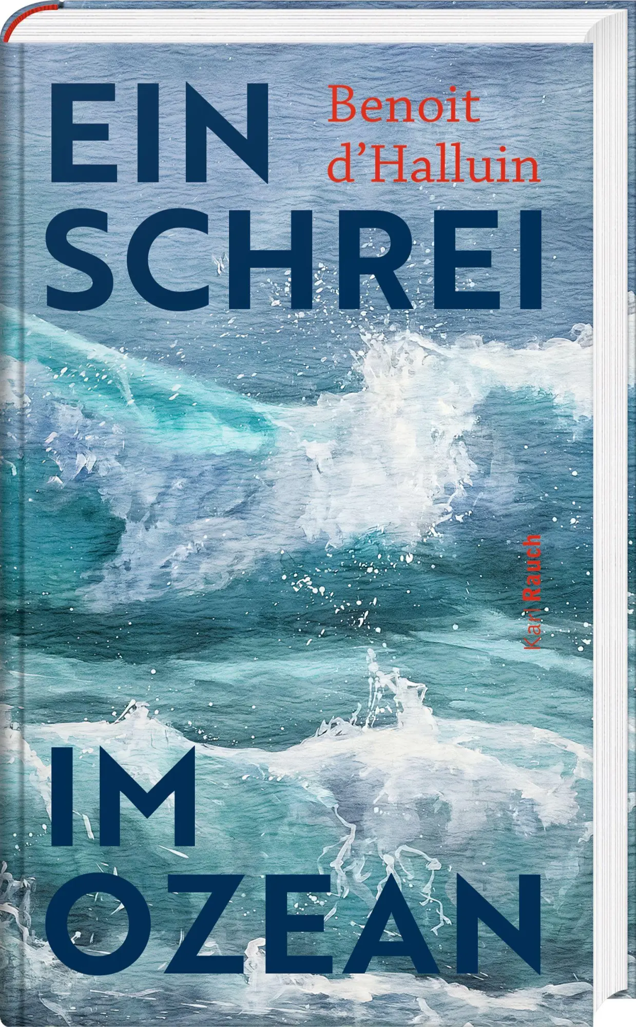 Cover: 9783792002964 | Ein Schrei im Ozean | Benoit d`Halluin | Buch | 448 S. | Deutsch