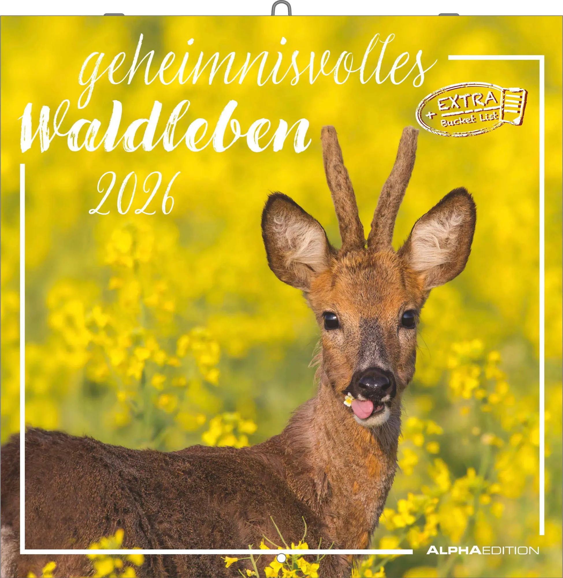 Cover: 4069095003064 | Geheimnisvolles Waldleben 2026 - Broschürenkalender 30x30 cm (30x60...
