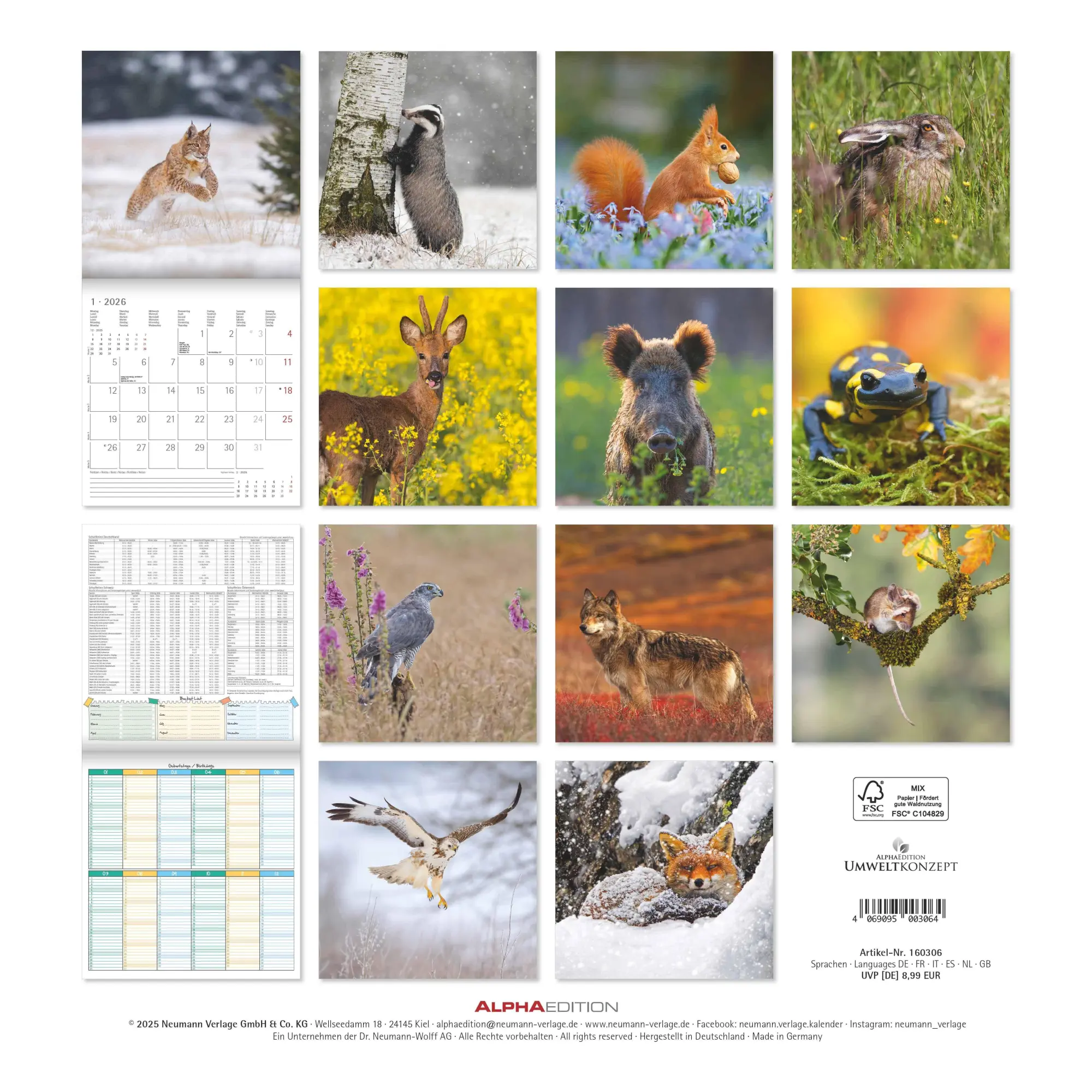 Rückseite: 4069095003064 | Geheimnisvolles Waldleben 2026 - Broschürenkalender 30x30 cm (30x60...