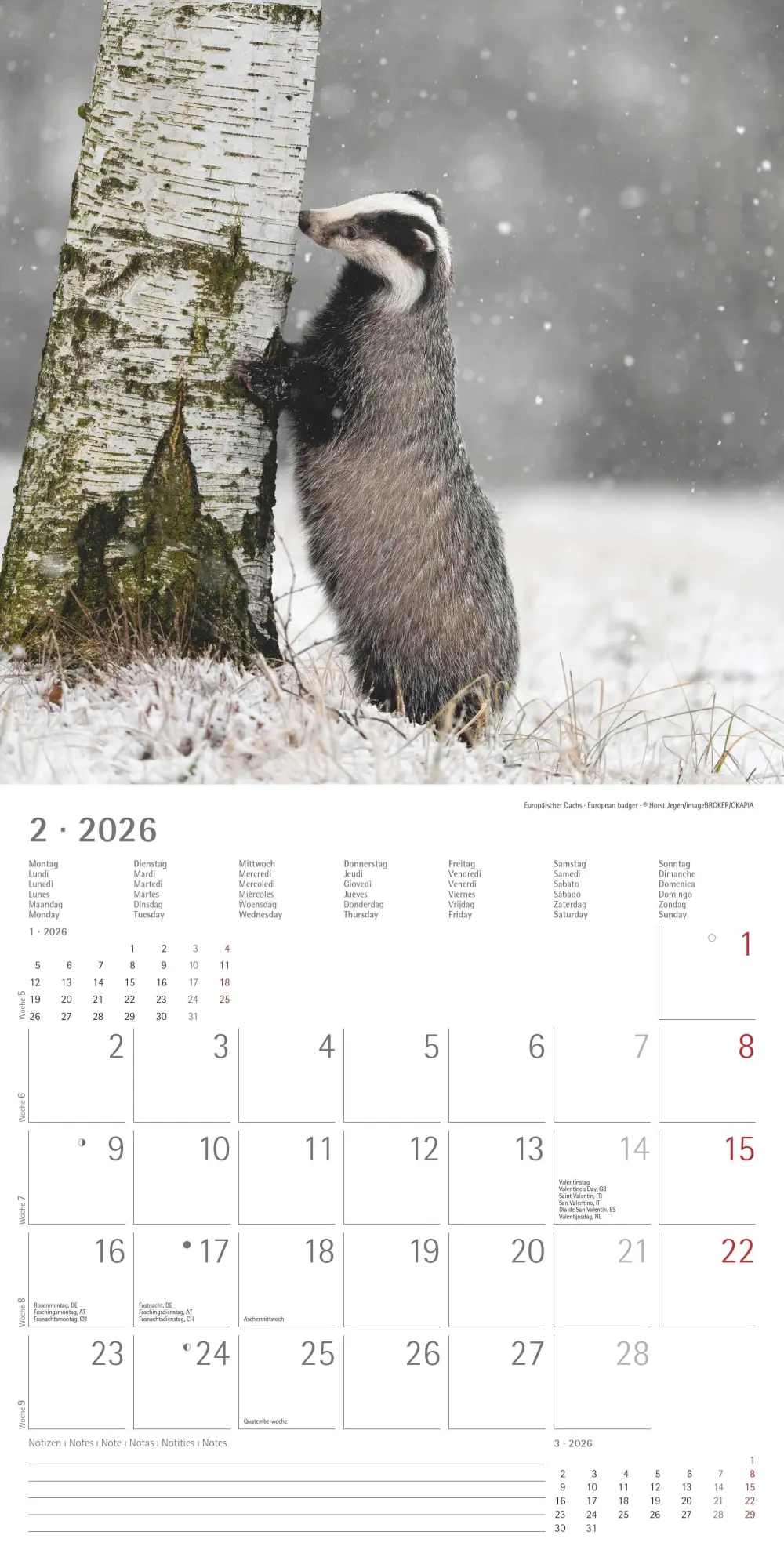 Bild: 4069095003064 | Geheimnisvolles Waldleben 2026 - Broschürenkalender 30x30 cm (30x60...