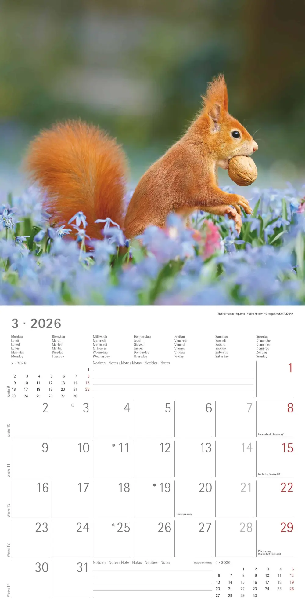 Bild: 4069095003064 | Geheimnisvolles Waldleben 2026 - Broschürenkalender 30x30 cm (30x60...