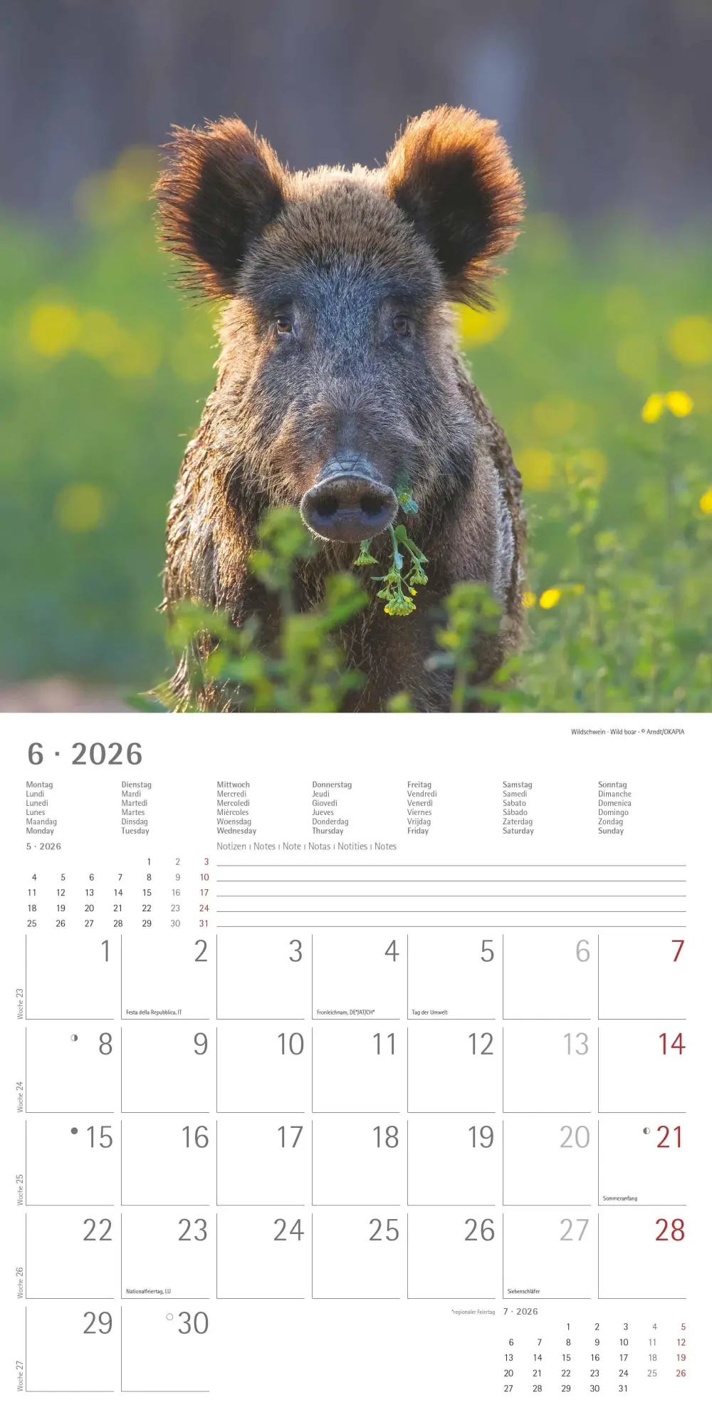 Bild: 4069095003064 | Geheimnisvolles Waldleben 2026 - Broschürenkalender 30x30 cm (30x60...