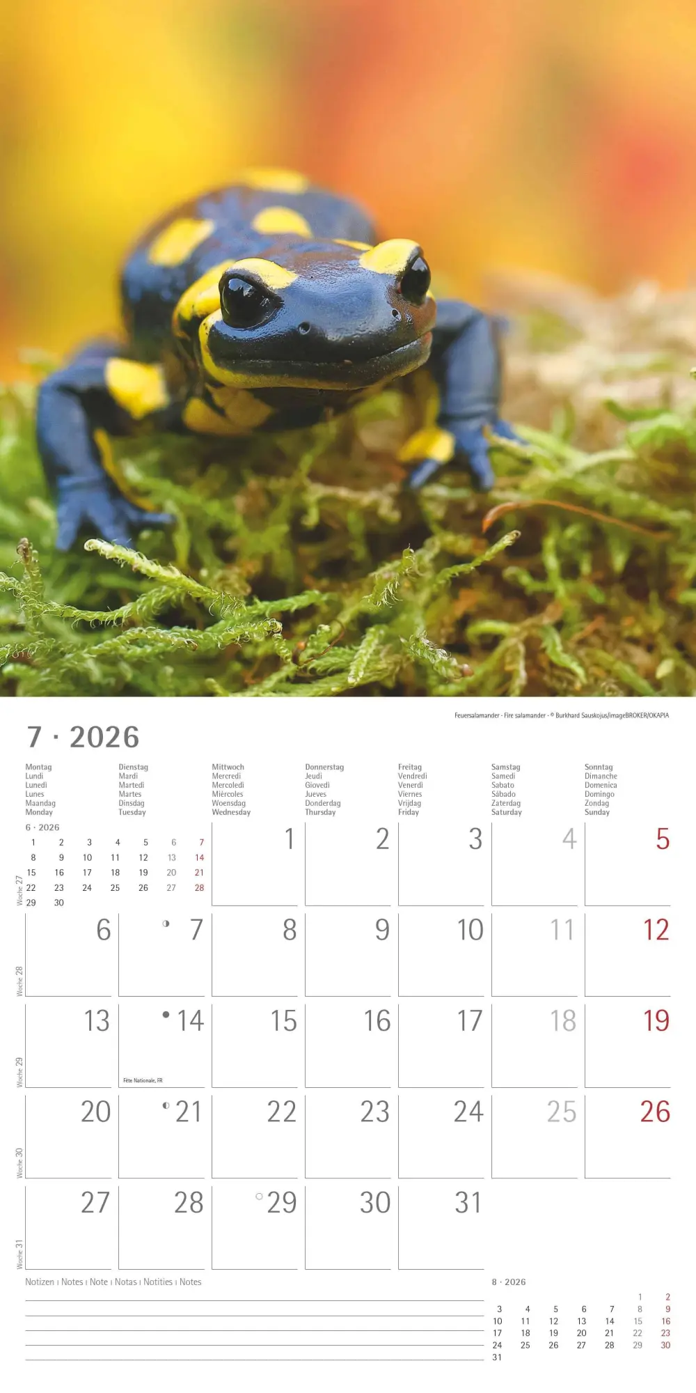 Bild: 4069095003064 | Geheimnisvolles Waldleben 2026 - Broschürenkalender 30x30 cm (30x60...