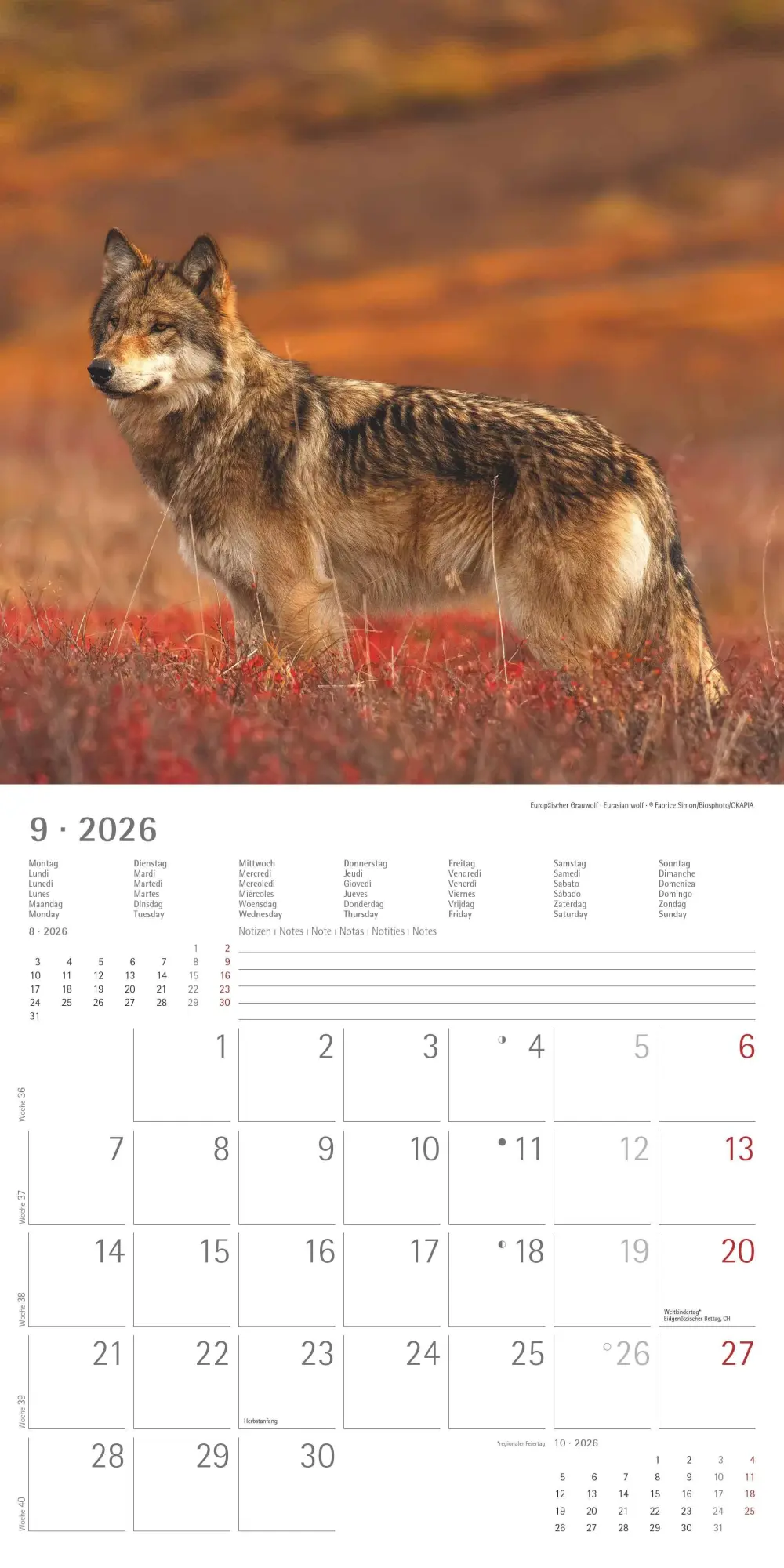 Bild: 4069095003064 | Geheimnisvolles Waldleben 2026 - Broschürenkalender 30x30 cm (30x60...