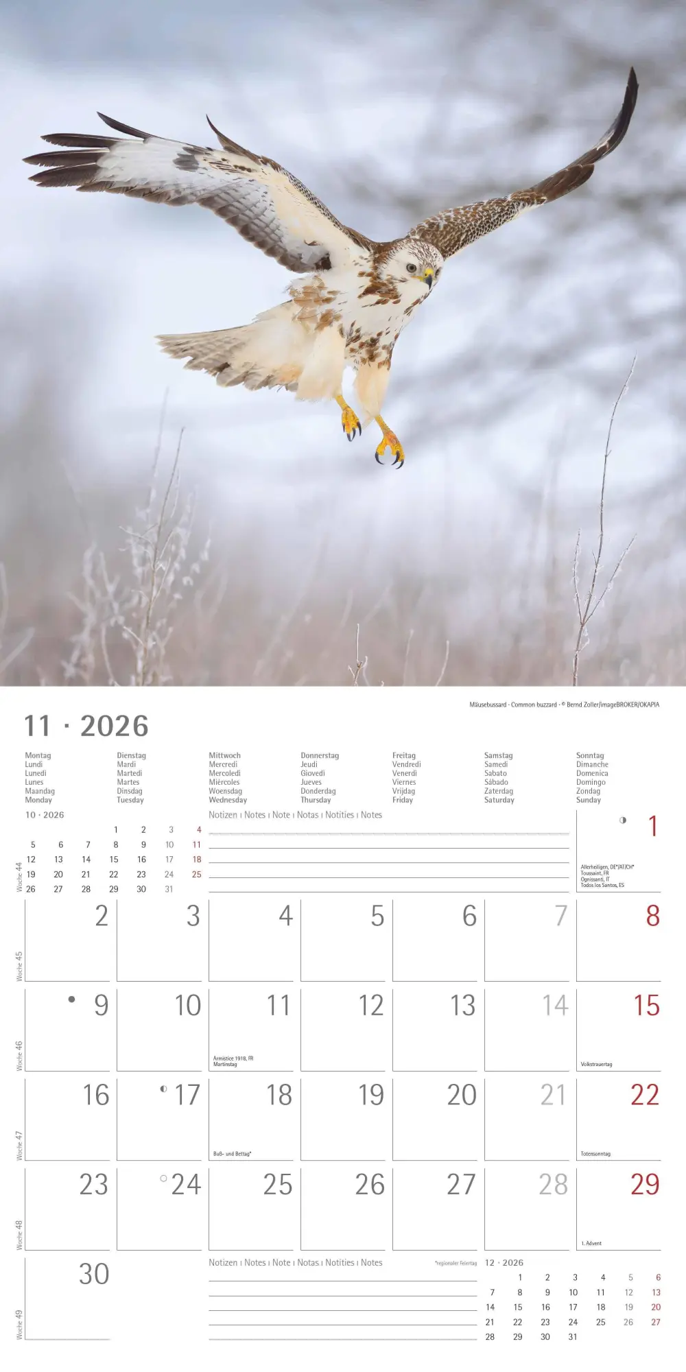 Bild: 4069095003064 | Geheimnisvolles Waldleben 2026 - Broschürenkalender 30x30 cm (30x60...