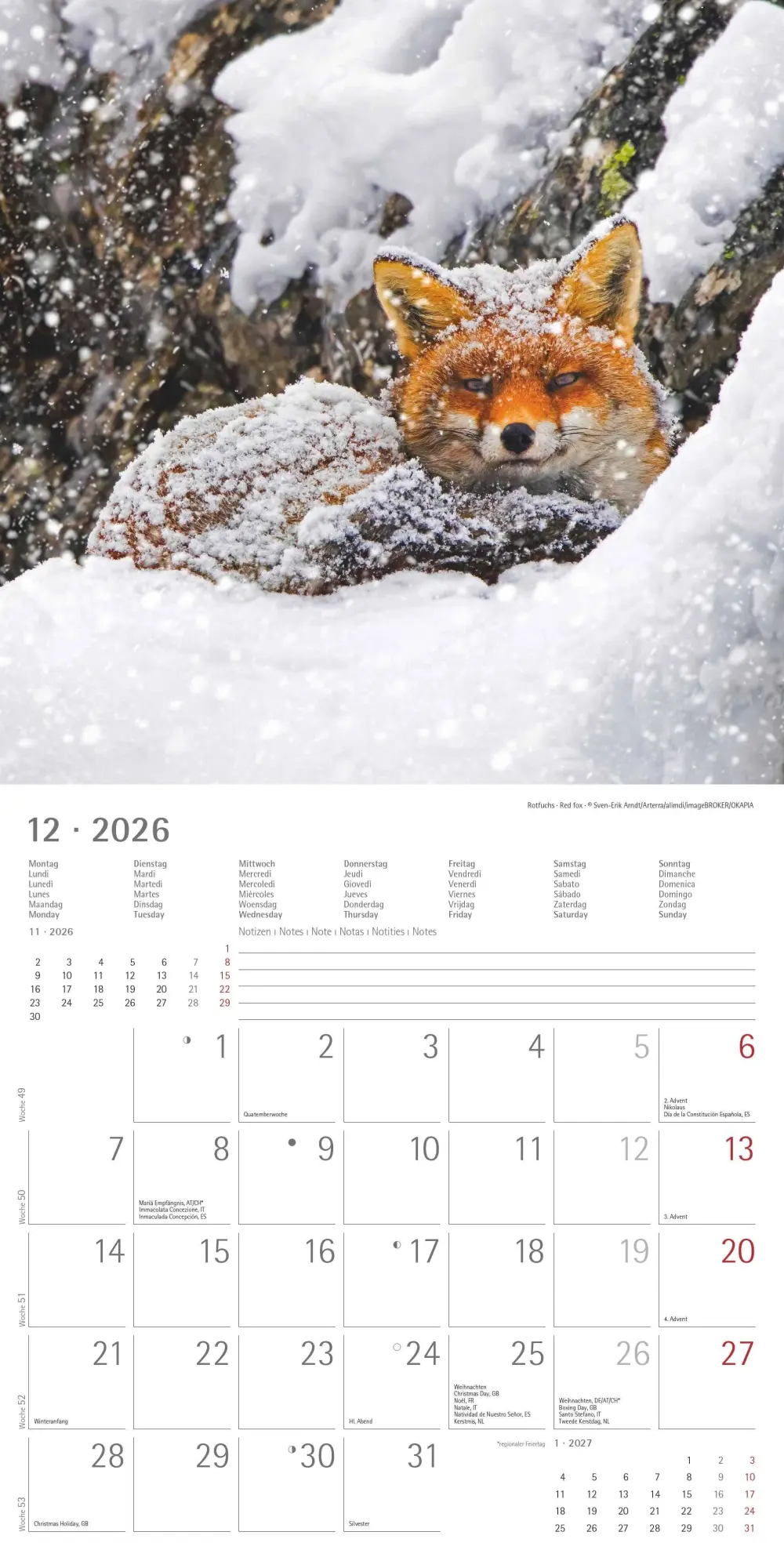 Bild: 4069095003064 | Geheimnisvolles Waldleben 2026 - Broschürenkalender 30x30 cm (30x60...