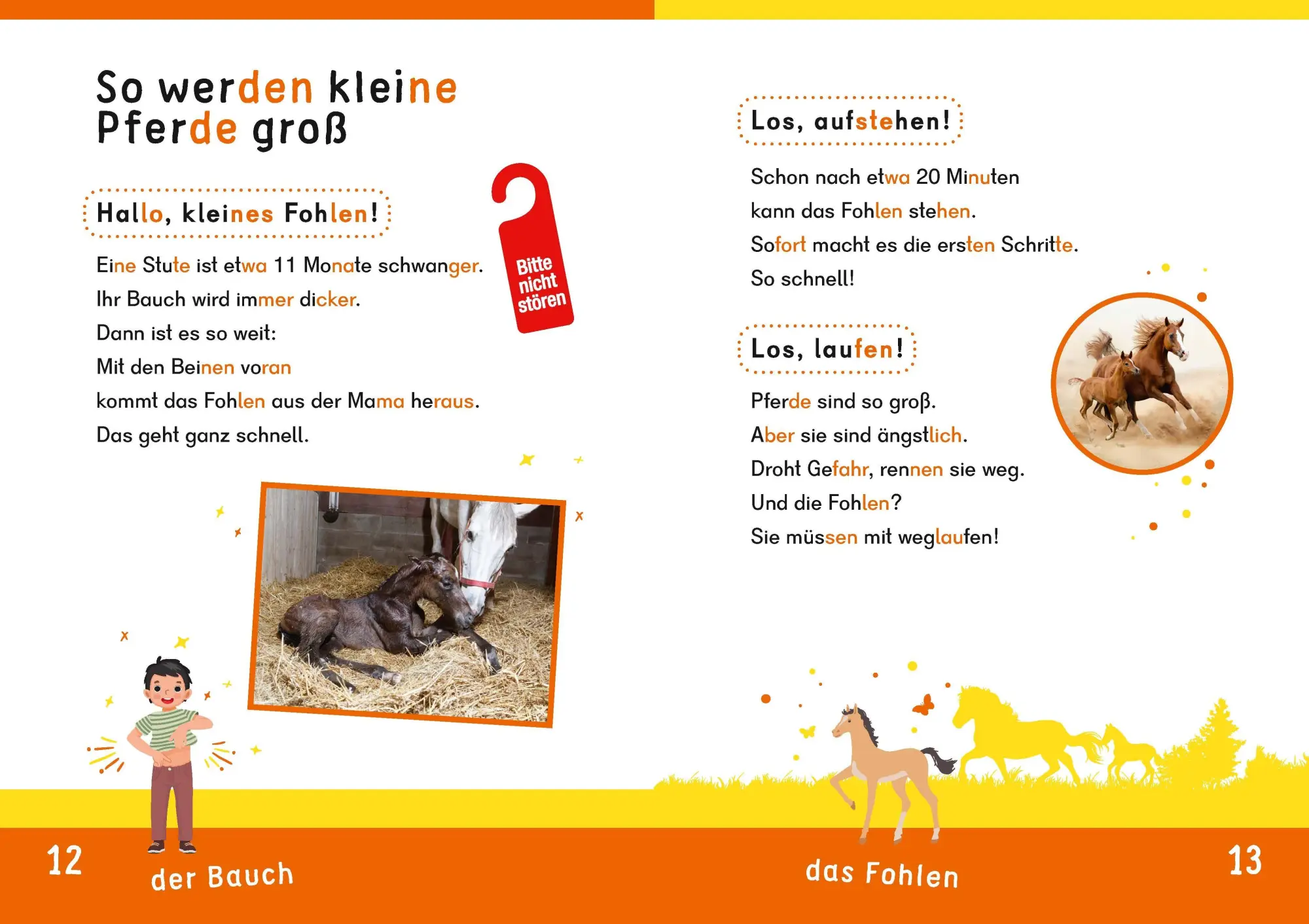 Bild: 9783411733064 | Dein Lesestart: Weißt du schon alles über Pferde? Ab 1. Klasse | Buch