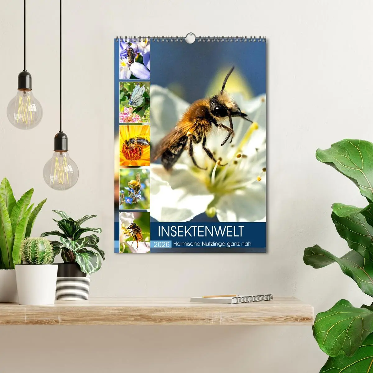 Bild: 9783516393064 | INSEKTENWELT - Heimische Nützlinge ganz nah (Wandkalender 2026 DIN...